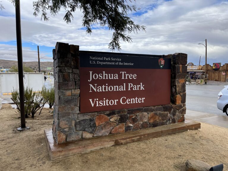 조슈아 트리 국립공원-2024년 1월 3일, 캘리포니아-Joshua tree national park in California, United States